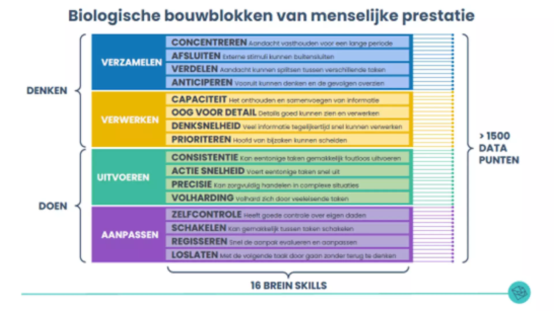 bouwblokken van NeurOlympics - figuur